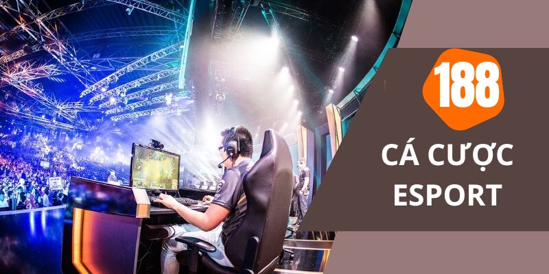 Trò chơi đẳng cấp có tại app cá cược esport