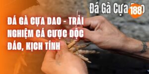 da-ga-cua-dao